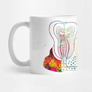 Tooth anatomy Mug